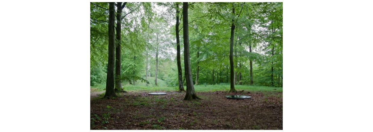 Sophia Kalkau, indvielse af Skibelund Krat