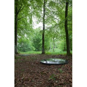 Sophia Kalkau, Skibelund Krat